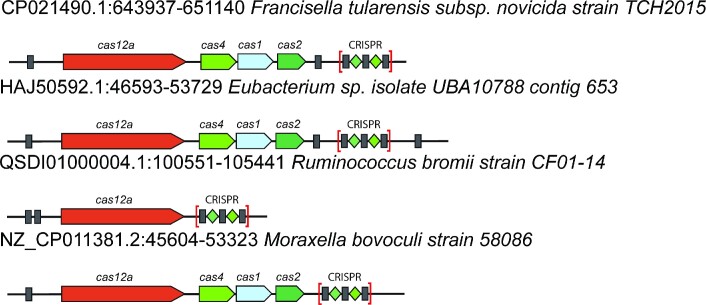 Figure 7.