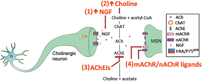 Fig.1