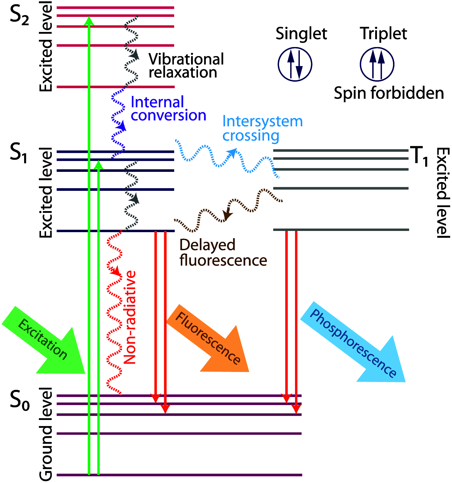 Fig. 1