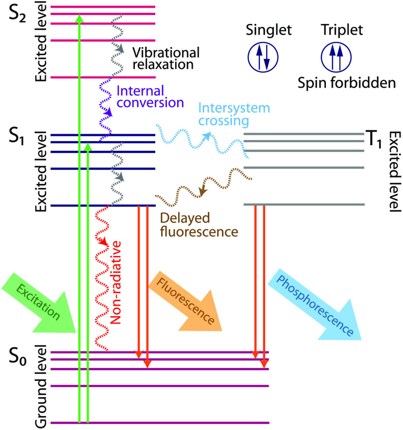 Fig. 1