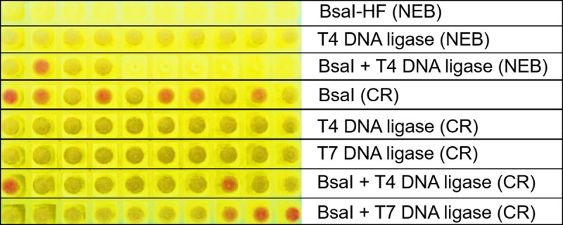 Fig 7