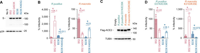 FIG 3