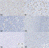 Figures 10–15: