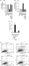 FIGURE 4.
