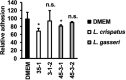 Figure 5