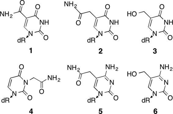 FIGURE 1.