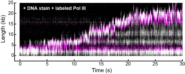 Figure 2—figure supplement 4.