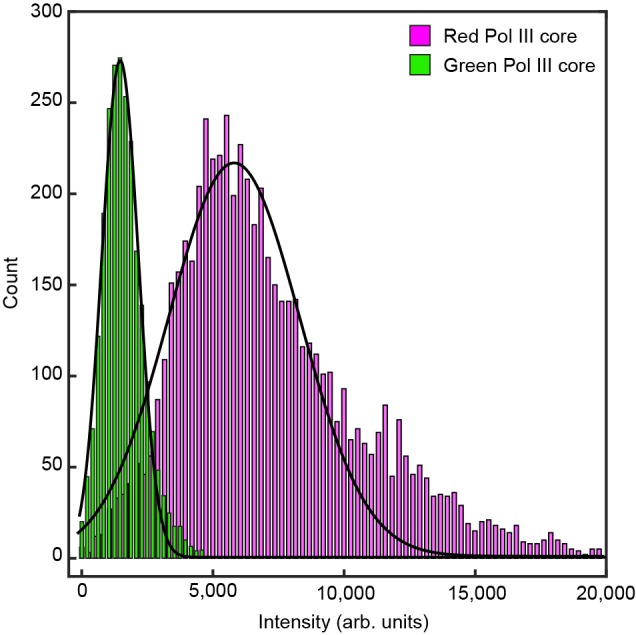 Figure 4—figure supplement 4.