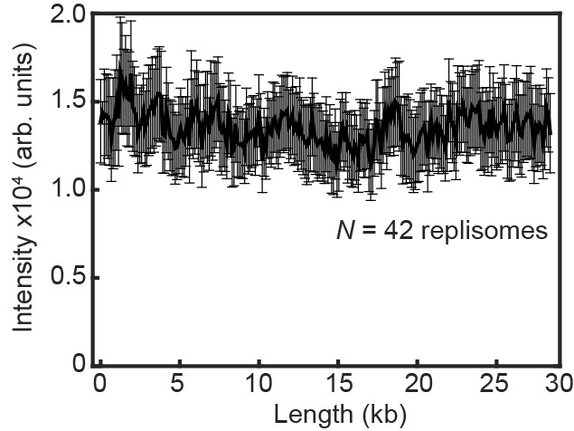 Figure 4—figure supplement 5.