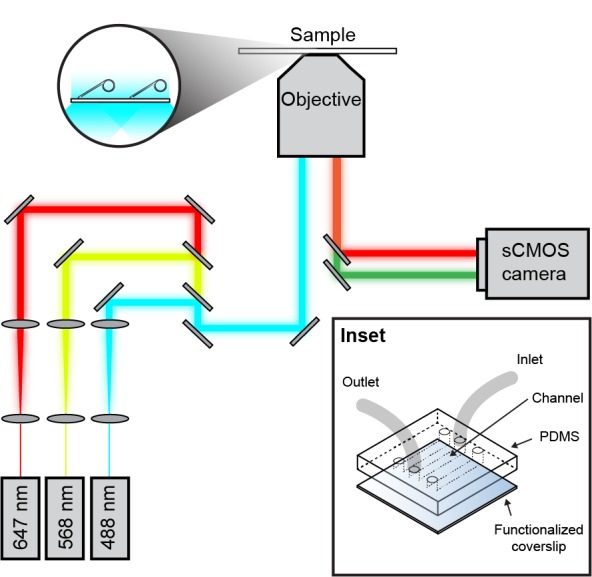 Figure 1—figure supplement 1.