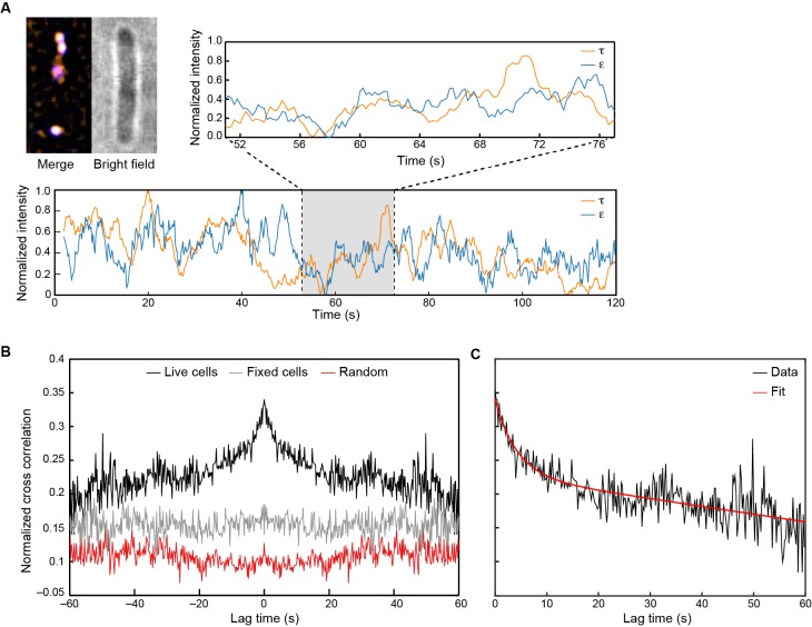 Figure 6.