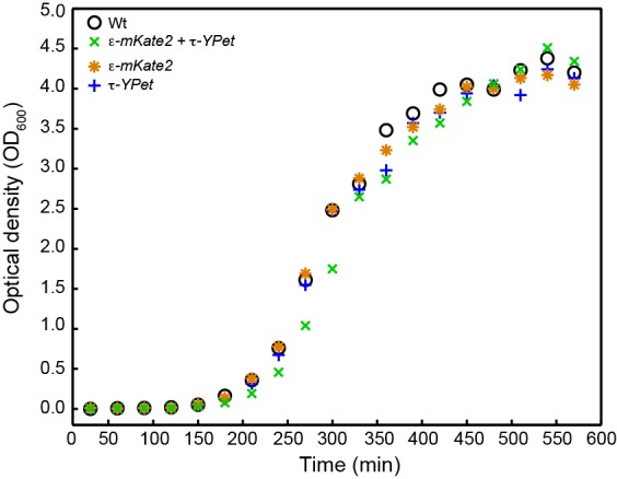 Figure 6—figure supplement 1.