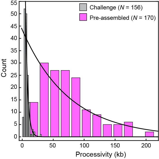 Figure 4—figure supplement 2.