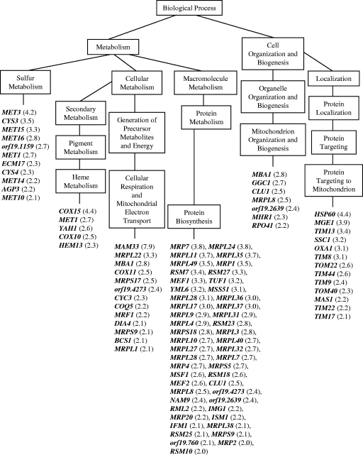 FIG. 6.