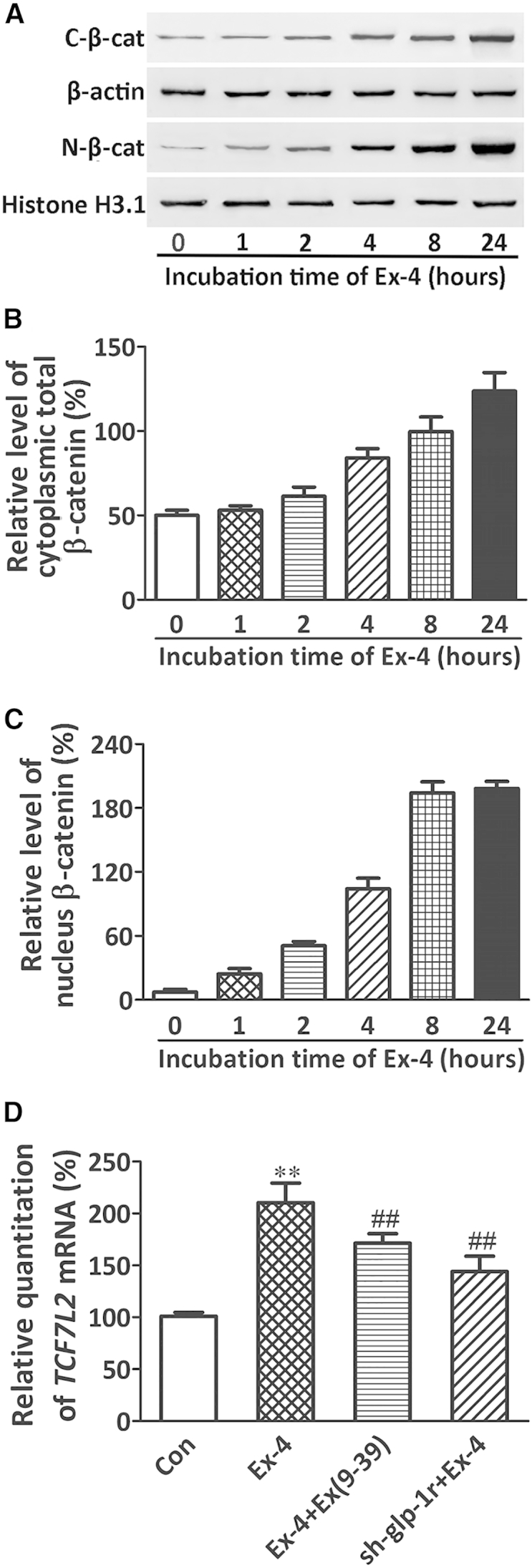 Figure 4