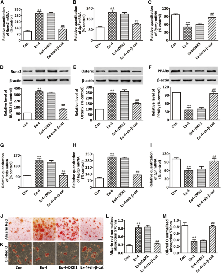 Figure 6