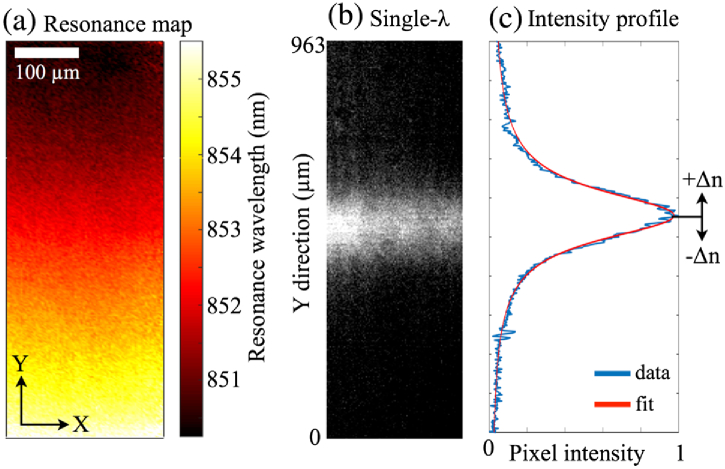 Fig. 2.