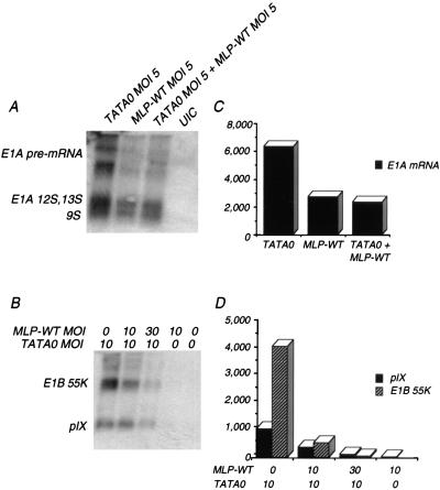 FIG. 8