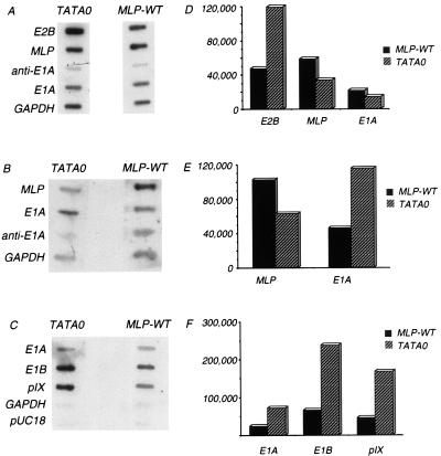 FIG. 6