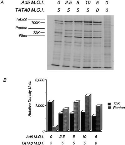 FIG. 7