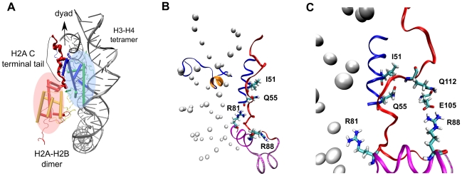 Figure 14