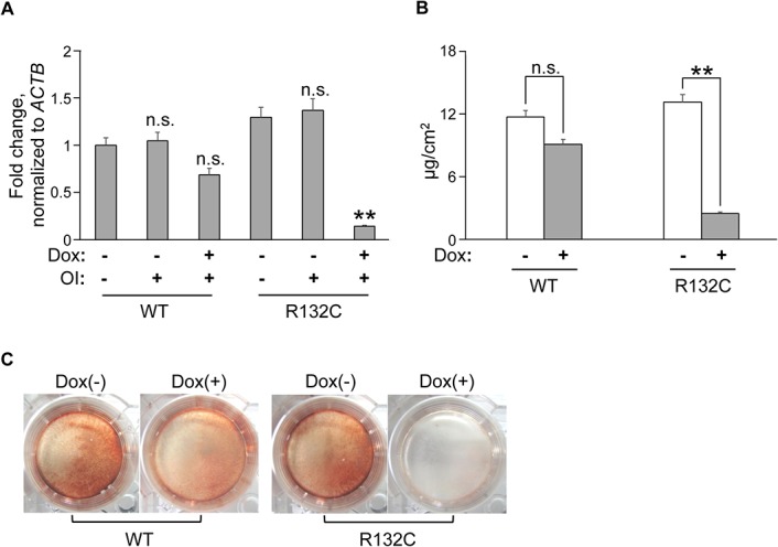 Fig 4