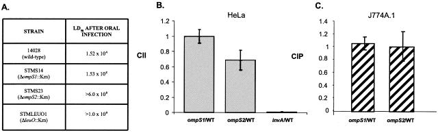 FIG. 2.