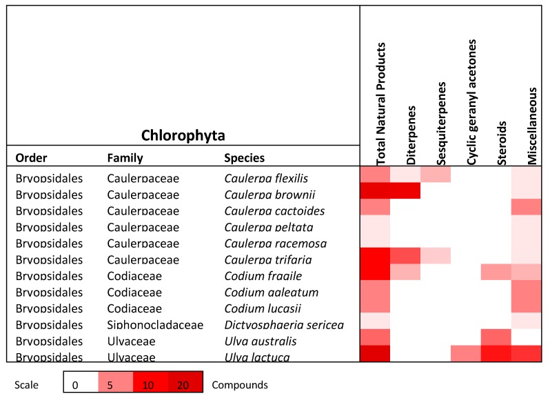 Figure 13