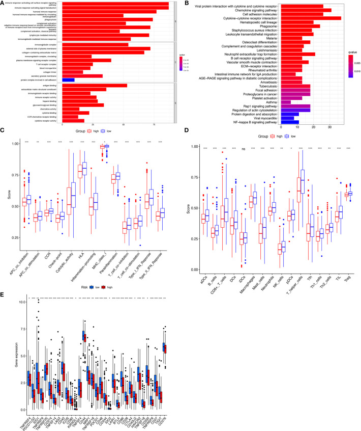 Figure 6