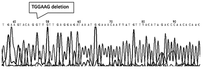 Figure 3.