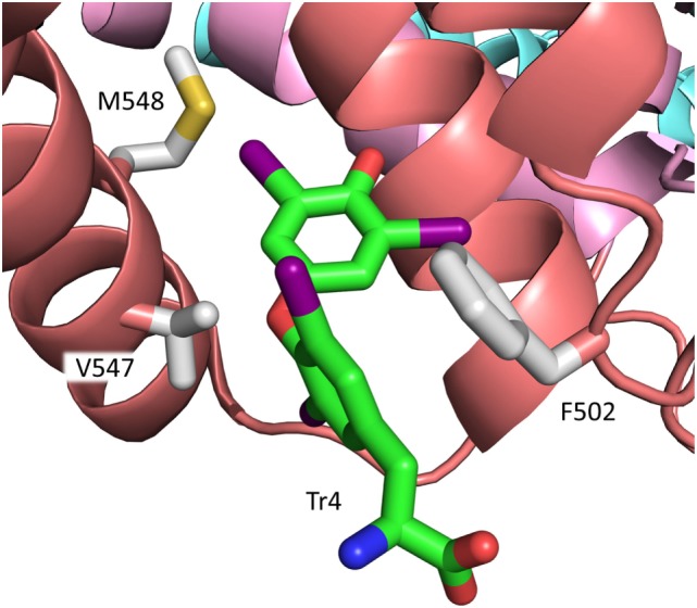 Figure 5