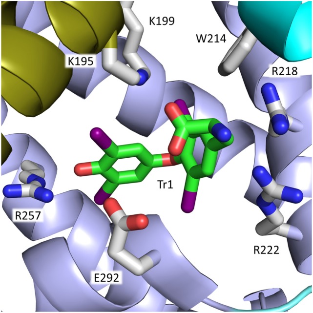 Figure 4