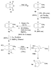Scheme 2
