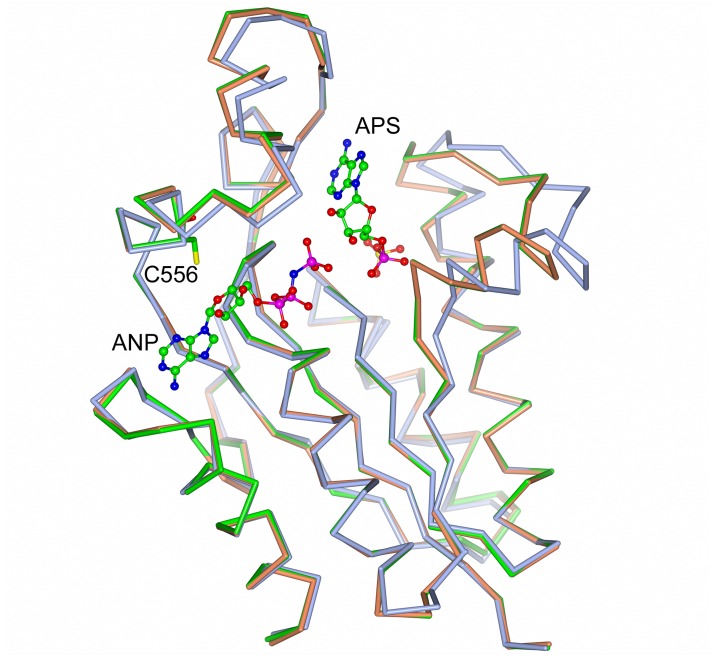 Fig 5