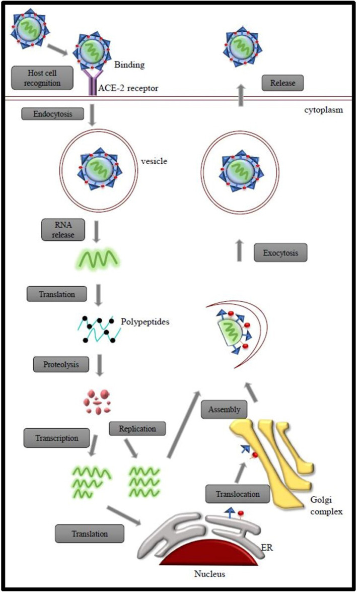 FIGURE 1