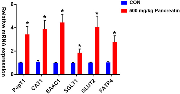 FIGURE 1