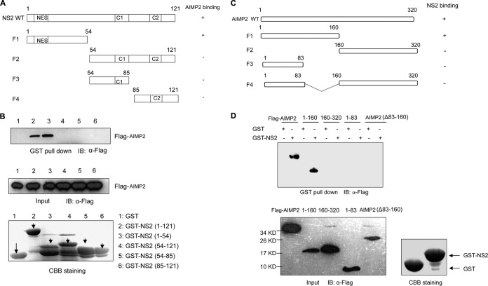 FIG 2