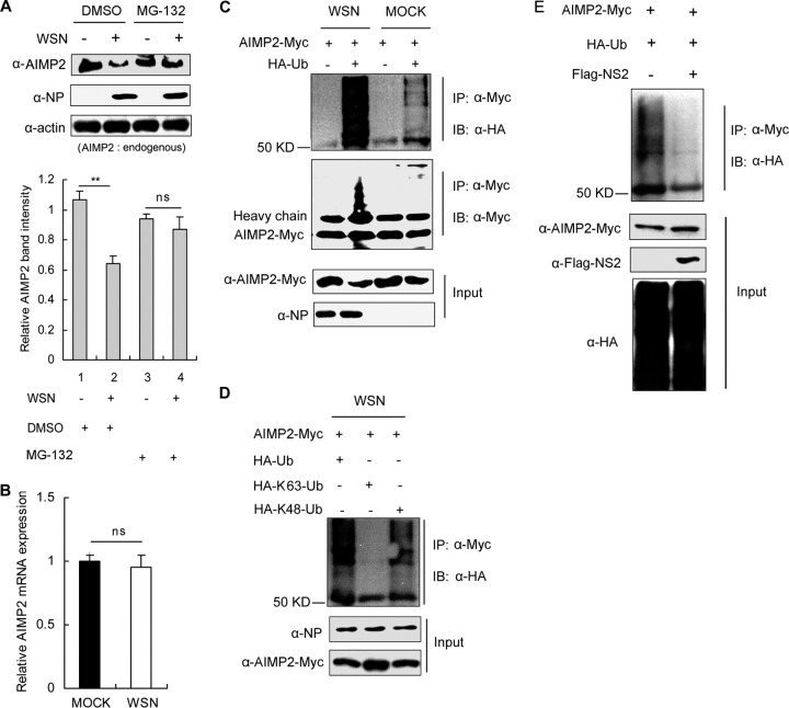 FIG 3