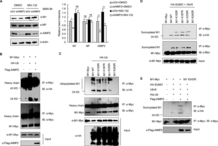 FIG 6