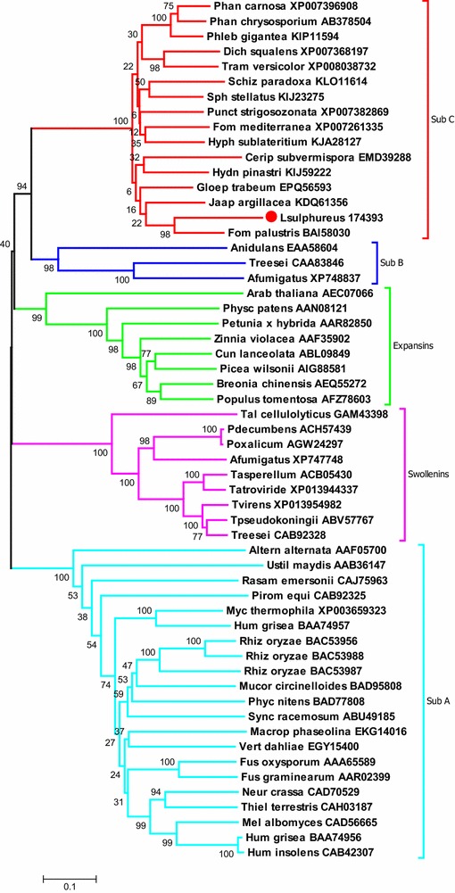 Fig. 4