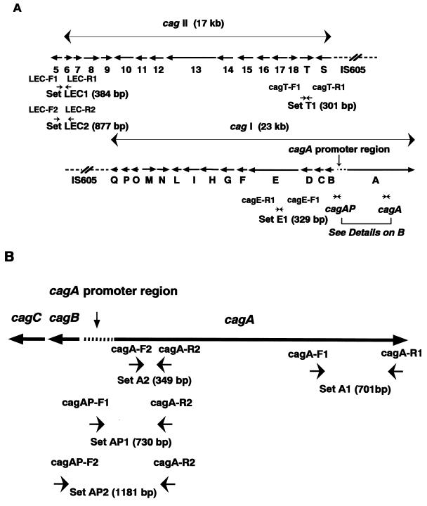 FIG. 1