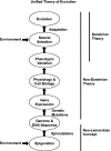 F<sc>ig</sc>. 1.—