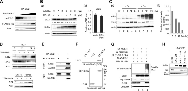 FIG 2