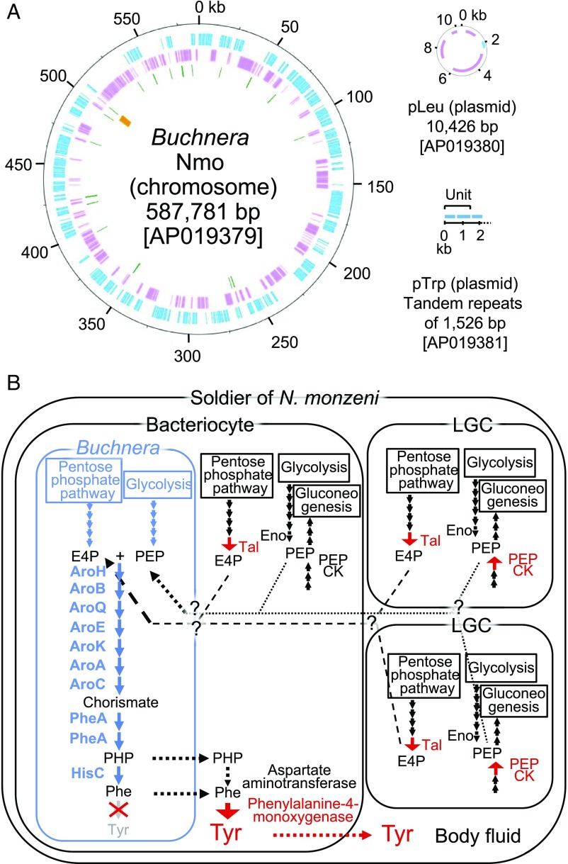 Fig. 7.