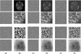 Fig. 17