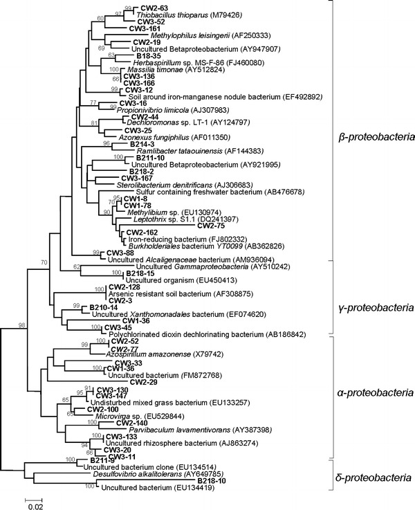 Fig. 6