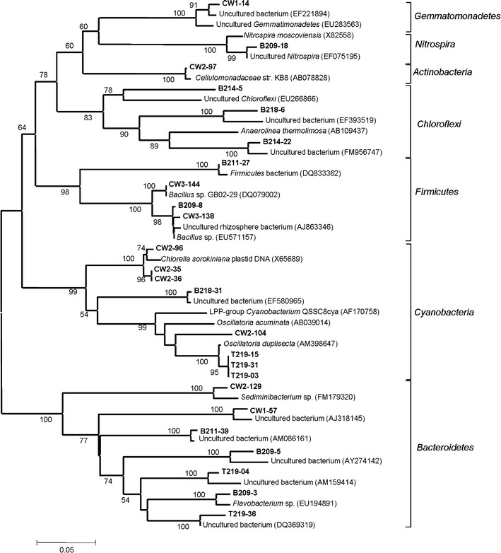 Fig. 7