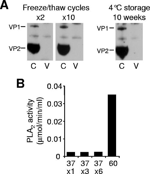 FIG. 6.