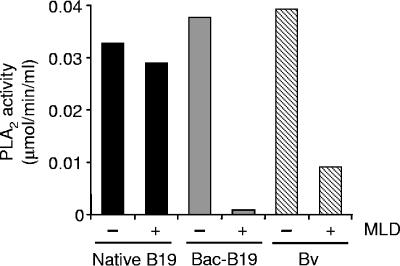 FIG. 8.