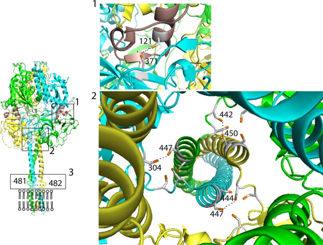 Fig 1